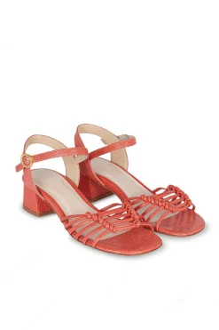 Simona Coral 5Cm