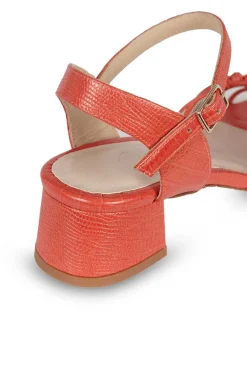 Simona Coral 5Cm